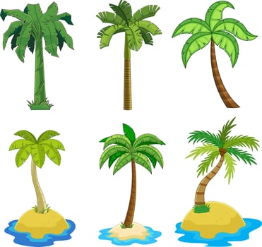 Cartoon Different Tropical Palm Tree. Hand Drawn Collection Set vector
