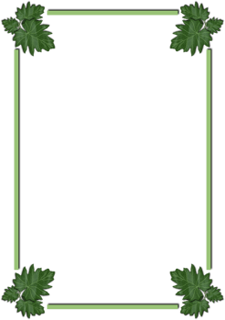 frame of green leaves png
