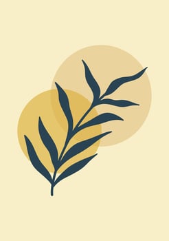 Modern aesthetic illustrations. Bohemian style Collection of contemporary artistic vector