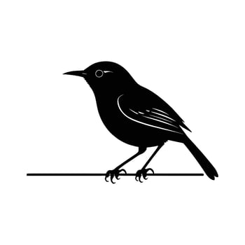 Black and white silhouette of a bird on a wire vector