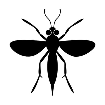 a black and white silhouette of a mosquito vector