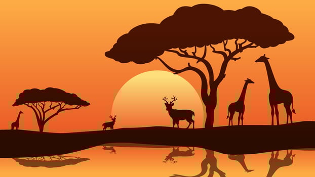 Landscape illustration of savanna wildlife vector