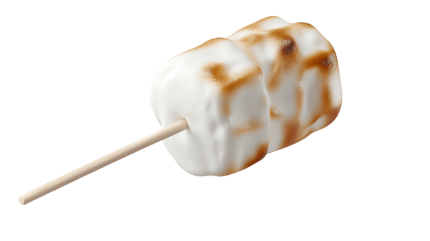 A marshmallow on a stick with a black background png
