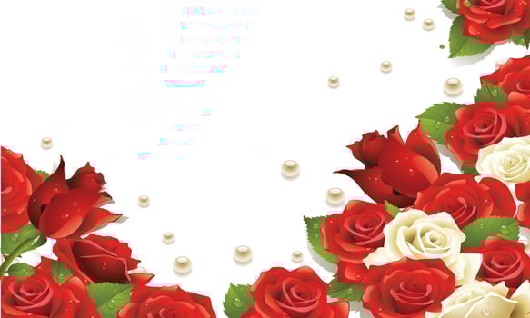 Romantic Rose Frame with Dew and Pearls vector