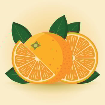 Fruit orange pieces, whole, half, slice, pieces vector