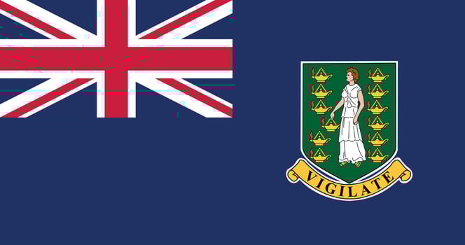 British Virgin Islands Flag Illustration vector
