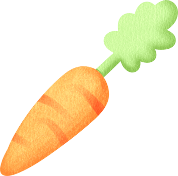 orange carrot illustration png