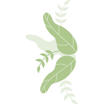 Green leaves composition png