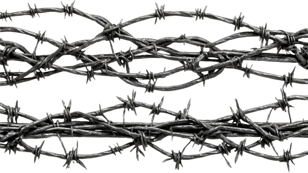 Rustic Barbed Wire Strand on Transparent Background Ideal for Product Marketing and Themed Decorative Use png