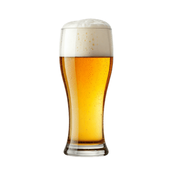 Clear Glass of Refreshing Golden Beer with Frothy Head Isolated png