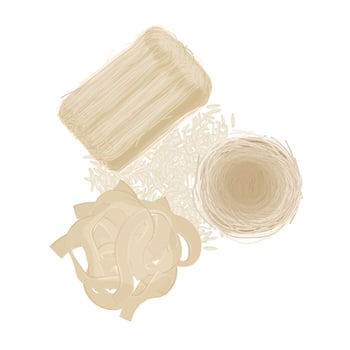 Illustration Logo Clipart Types of rice noodles rice vermicelli or rice sticks vector