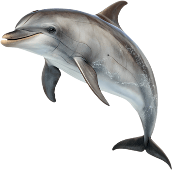 Bright Playful Dolphin Swimming in Cheerful Vibrant Water. . png