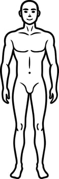 hand drawn human body outline vector