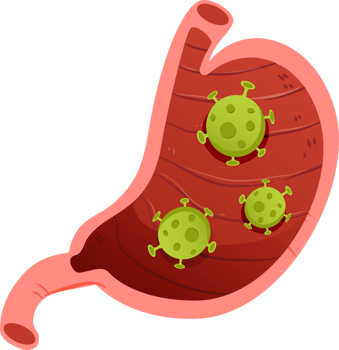 Digestive System and Disease png