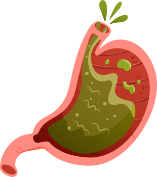 Clipart for Stomach Health Awareness png