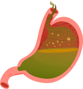Stomach Care and Wellness png