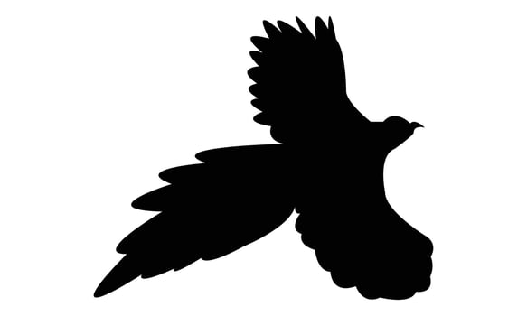 Flying Green Billed Malkoha Black Silhouette vector