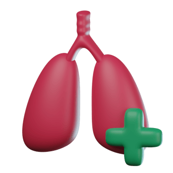3D Respiratory Transparent Icon Illustration png