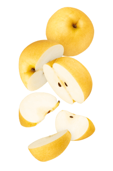 Falling Asian Pear cutout, full depth of field png