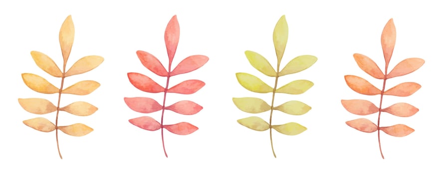 Autumn branches with leaves. Watercolor illustration. Botanical clipart in pastel monochrome colors. Hand drawn isolated art. Floral and plant art. Sketch for seasonal holidays, cards. Thanksgiving vector