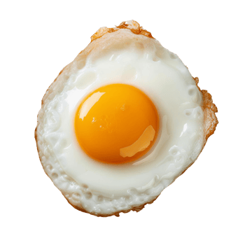 Fried egg on a transparent background png