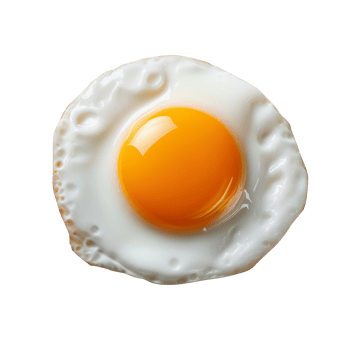 An egg on a transparent background png