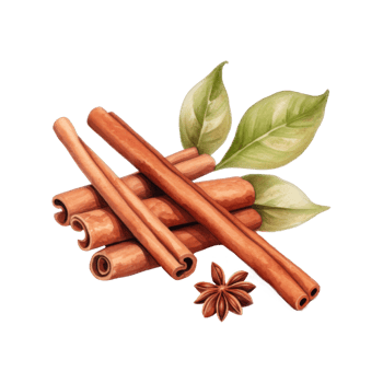 Aromatic Cinnamon Sticks, Star Anise, and Green Leaves Watercolor Painting png