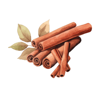 Watercolor Painting of Cinnamon Sticks with Leaves png