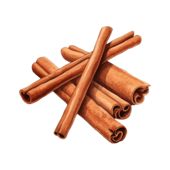 Watercolor painting of several cinnamon sticks on parchment paper png