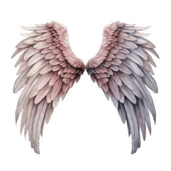 Pair of Delicate, Pastel-Colored Angel Wings with Detailed Feathers png
