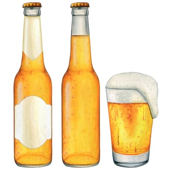 watercolor hand drawn beer bottle and glass blond vector
