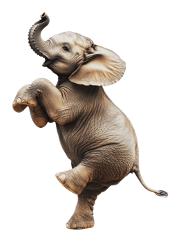 A playful elephant happily dancing on a sunny day png
