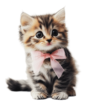 Cute kitten wearing a pink bow tie on display png