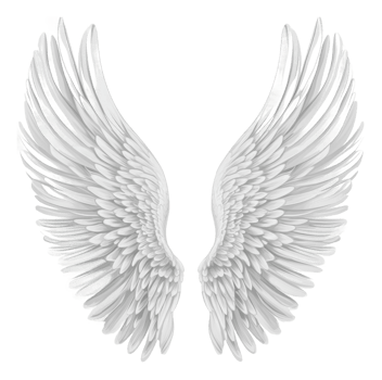 Elegant white angel wings for artistic display png