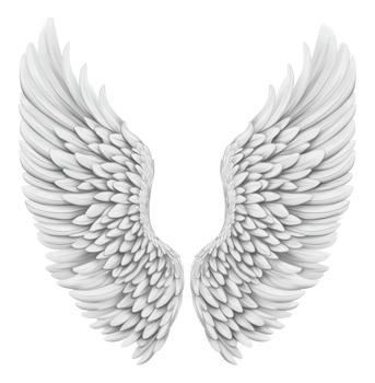 Stunning white angel wings illustration png