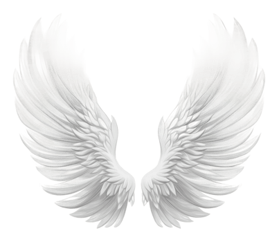 Softly detailed white angel wings png