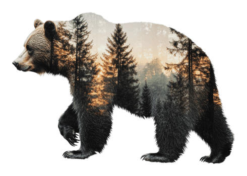 Bear silhouette with forest landscape at sunset png