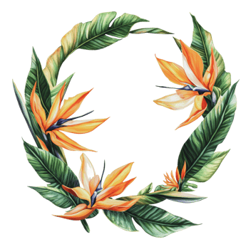 Circular arrangement of vibrant flowers png