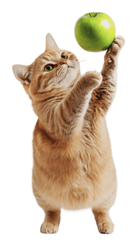Playful cat reaching for a green apple indoors png