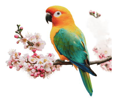 Bright parrot on blooming spring branch png