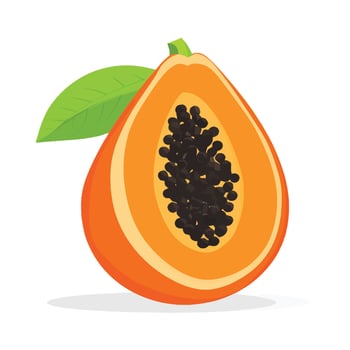 Juicy Papaya Cut Open to Reveal Seeds vector