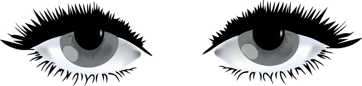 An image of a pair of eyes with long lashes vector