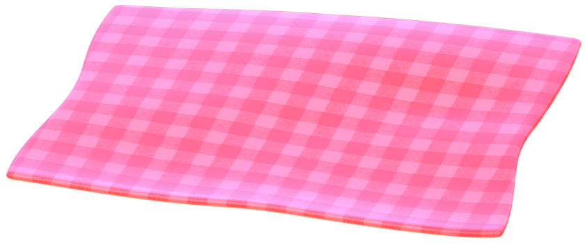 Picnic blanket 3D coquette aesthetic style png