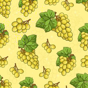 Hand drawn seamless pattern of juicy cotton candy, Dominga, sultana, continental white green grapes vector