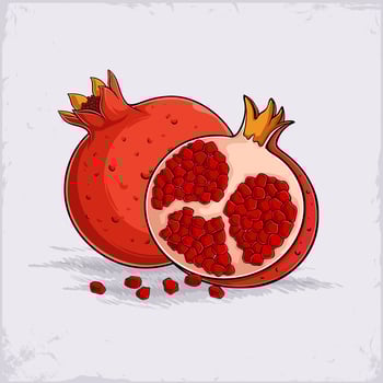 Hand drawn delicious organic fully and half cut garnet pomegranate, rich of vitamins good for health vector