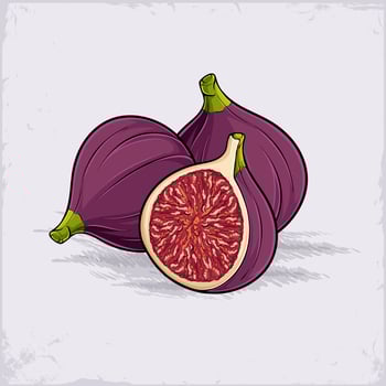 Hand drawn set of tasty organic fully and half cut purple figs with its red seeds, good for health vector