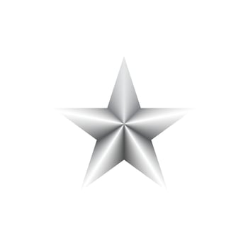 Gray Star Icon Logo Design Inspiration vector