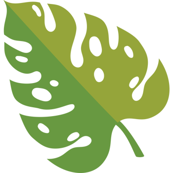 exotic leaf plant foliage png