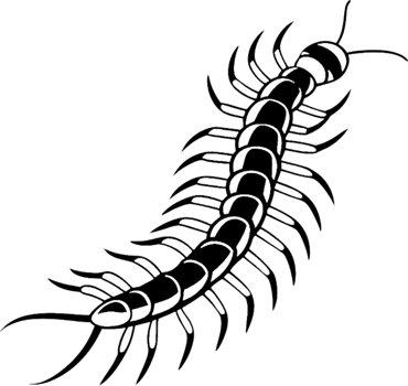 Bold Black Stencil Centipede Cartoon for DIY Crafts. . png
