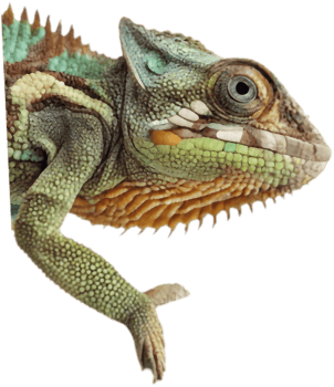 Cute Chameleon Clipart Perfect for Festive Celebrations. . png